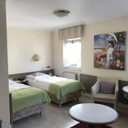 Hessischer Hof Отель 3*