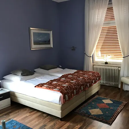 Hessischer Hof Отель 3*