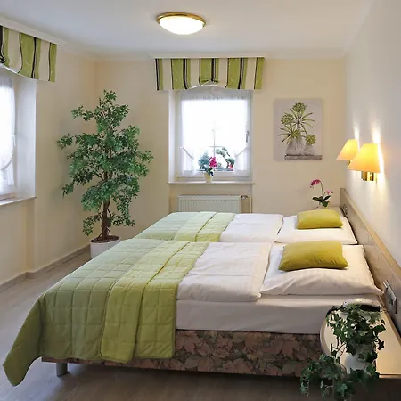 Hessischer Hof 3* Буцбах