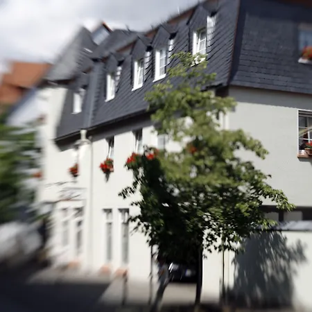 Hessischer Hof Буцбах